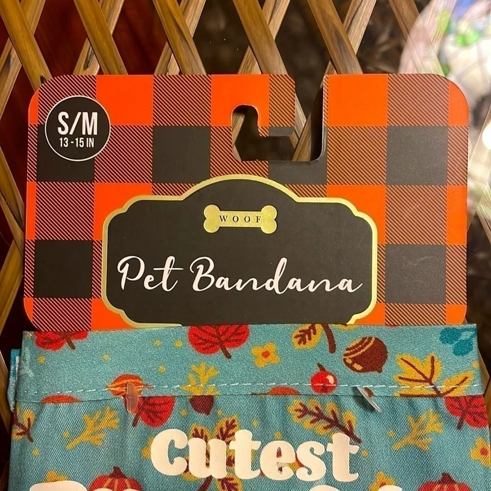 Brand New Cutest Pumpkin in the Patch Small/Medium Pet Dog Bandana 13-15” Neck